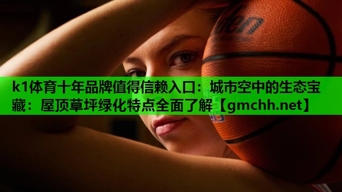 k1体育十年品牌值得信赖入口：城市空中的生态宝藏：屋顶草坪绿化特点全面了解