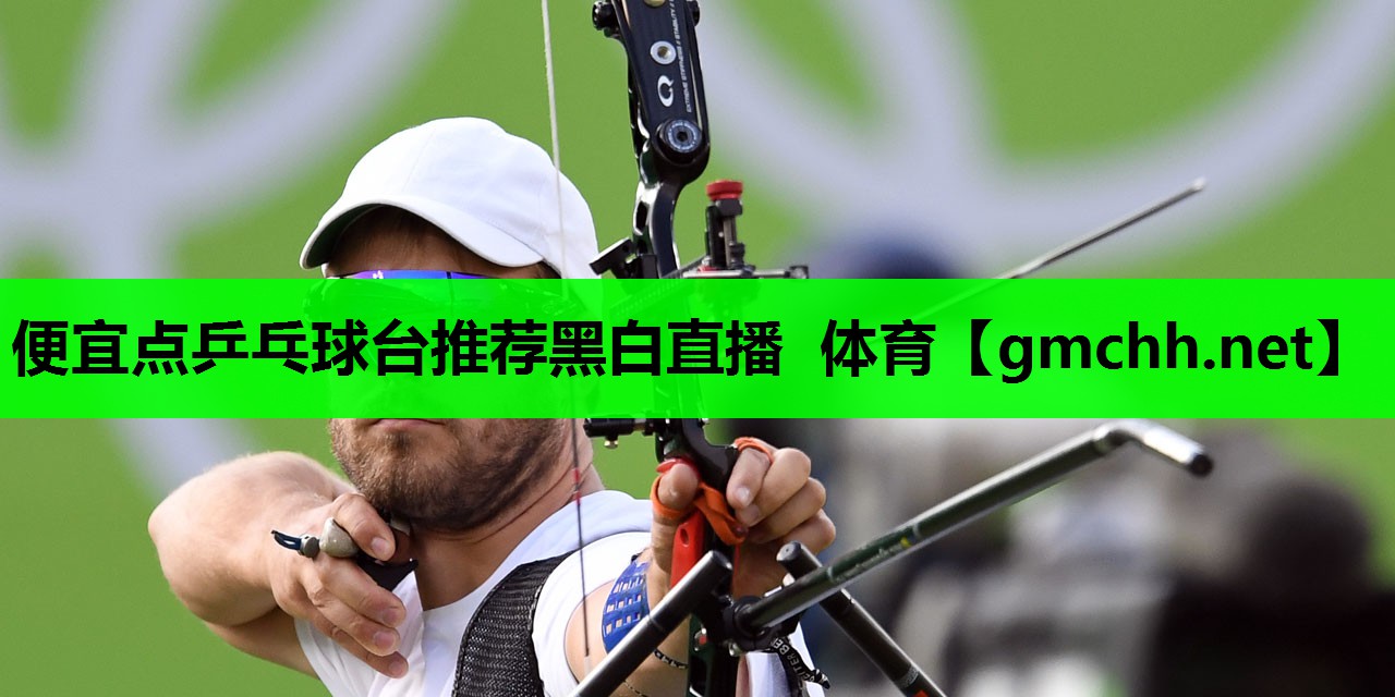 便宜点乒乓球台推荐黑白直播 体育