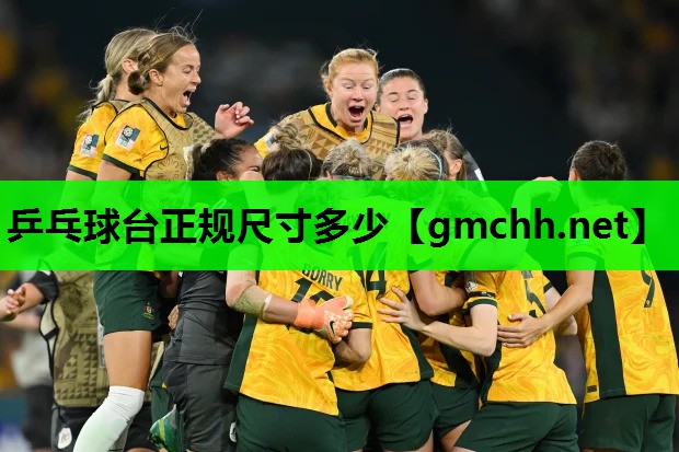 乒乓球台正规尺寸多少