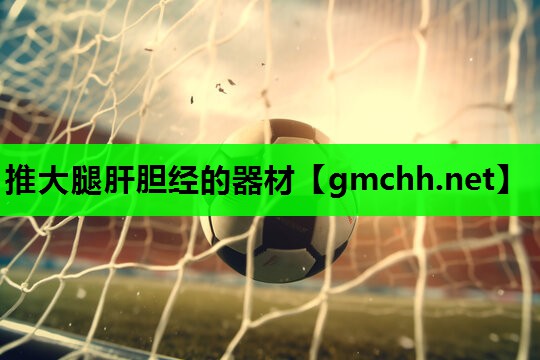 推大腿肝胆经的器材