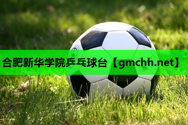 合肥新华学院乒乓球台