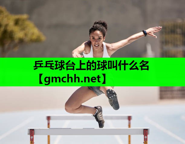 乒乓球台上的球叫什么名