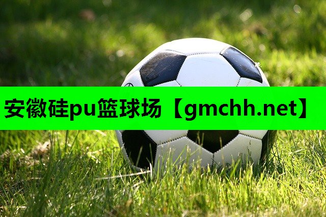 安徽硅pu篮球场
