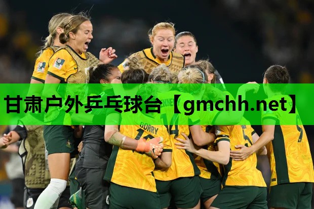 甘肃户外乒乓球台