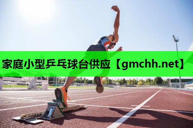家庭小型乒乓球台供应