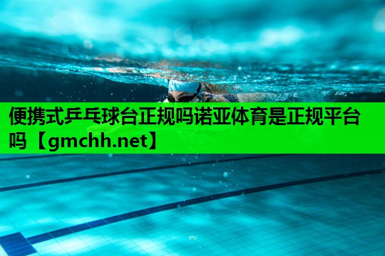 便携式乒乓球台正规吗诺亚体育是正规平台吗