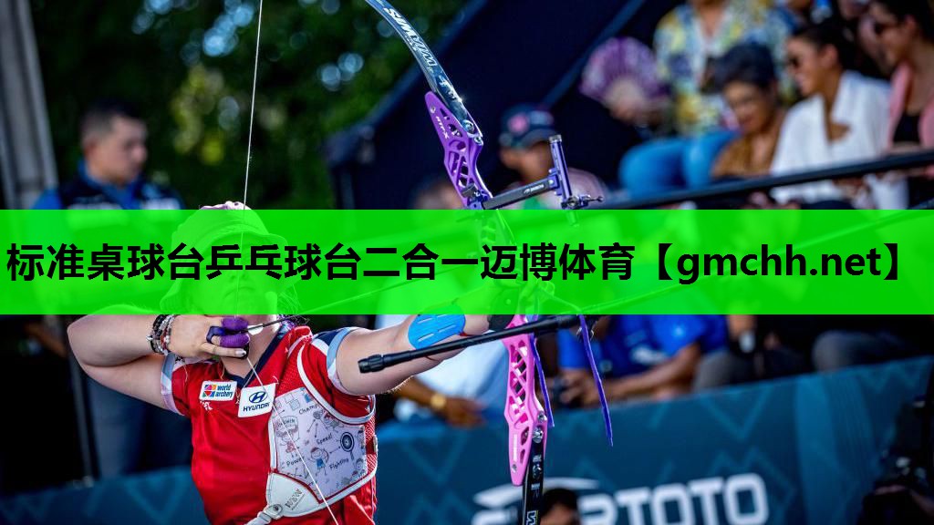 标准桌球台乒乓球台二合一迈博体育