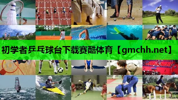 初学者乒乓球台下载赛酷体育