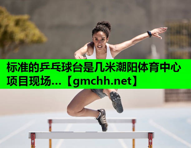 标准的乒乓球台是几米潮阳体育中心项目现场…