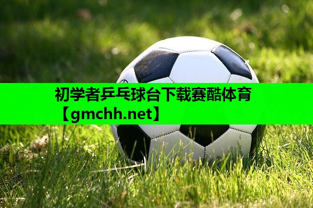 初学者乒乓球台下载赛酷体育