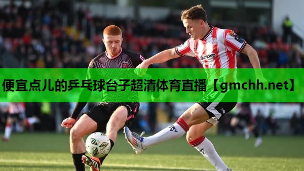 便宜点儿的乒乓球台子超清体育直播