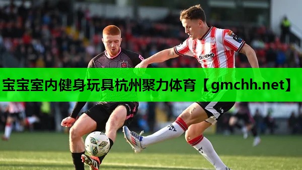 宝宝室内健身玩具杭州聚力体育