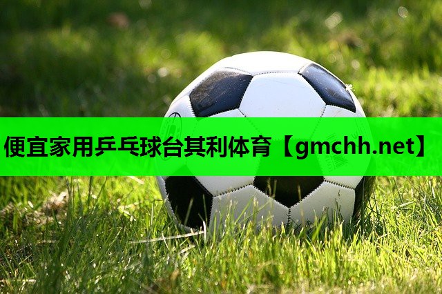 便宜家用乒乓球台其利体育