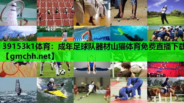 39153k1体育：成年足球队器材山猫体育免费直播下载