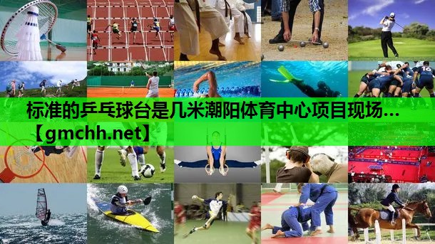 标准的乒乓球台是几米潮阳体育中心项目现场…