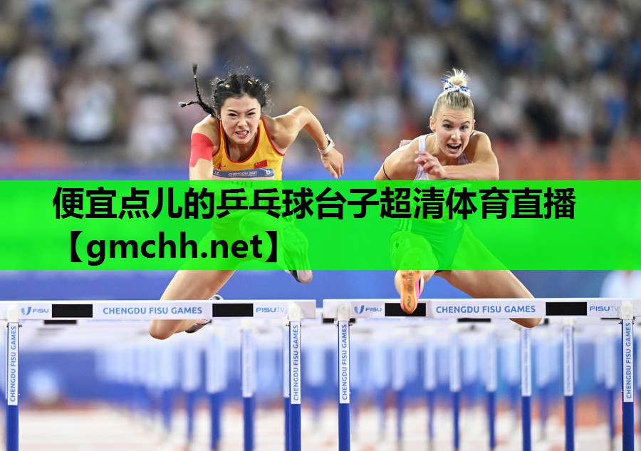 便宜点儿的乒乓球台子超清体育直播