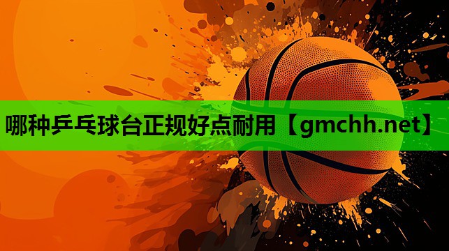 哪种乒乓球台正规好点耐用