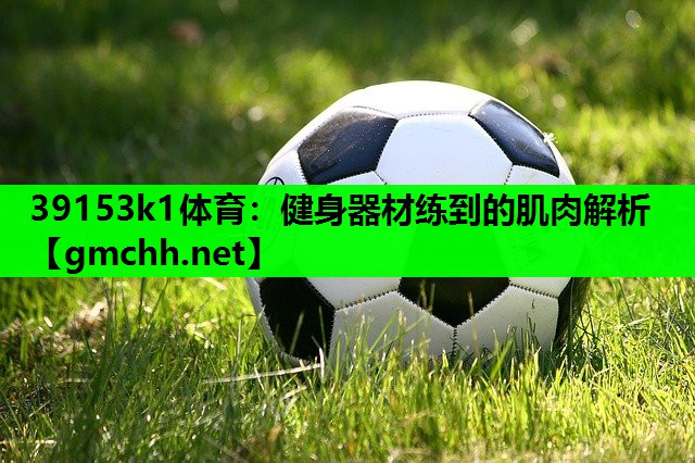 健身器材练到的肌肉解析