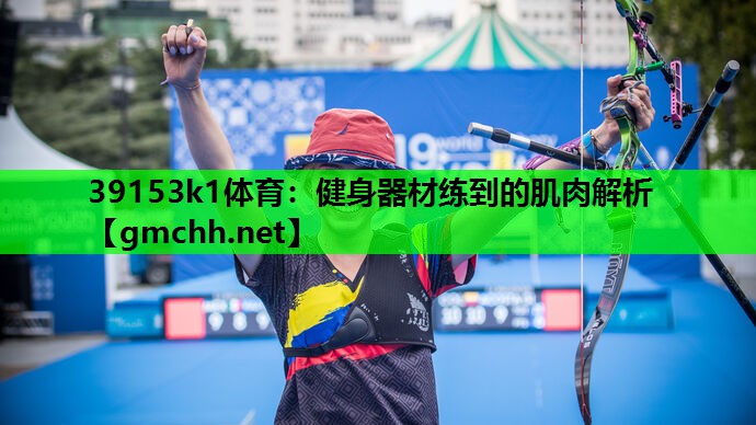 健身器材练到的肌肉解析