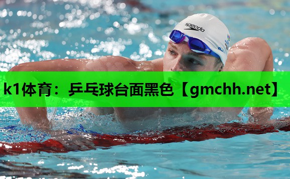 乒乓球台面黑色