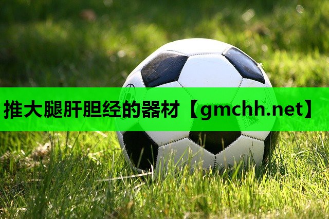 推大腿肝胆经的器材