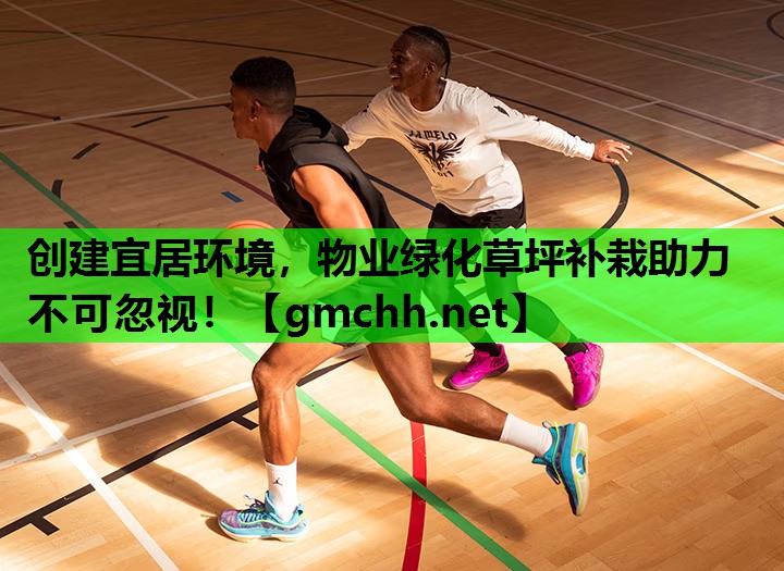 创建宜居环境，物业绿化草坪补栽助力不可忽视！