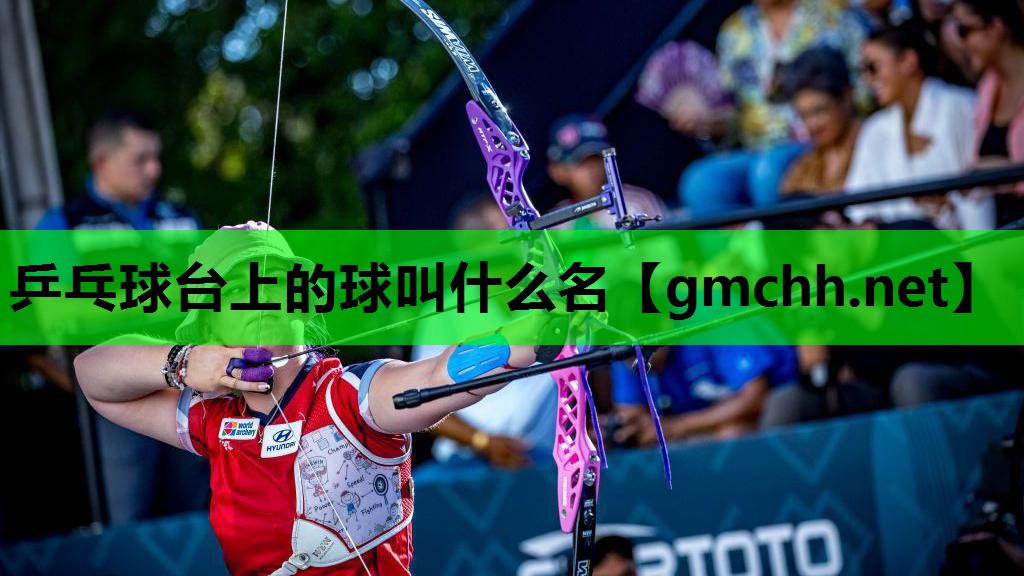 乒乓球台上的球叫什么名