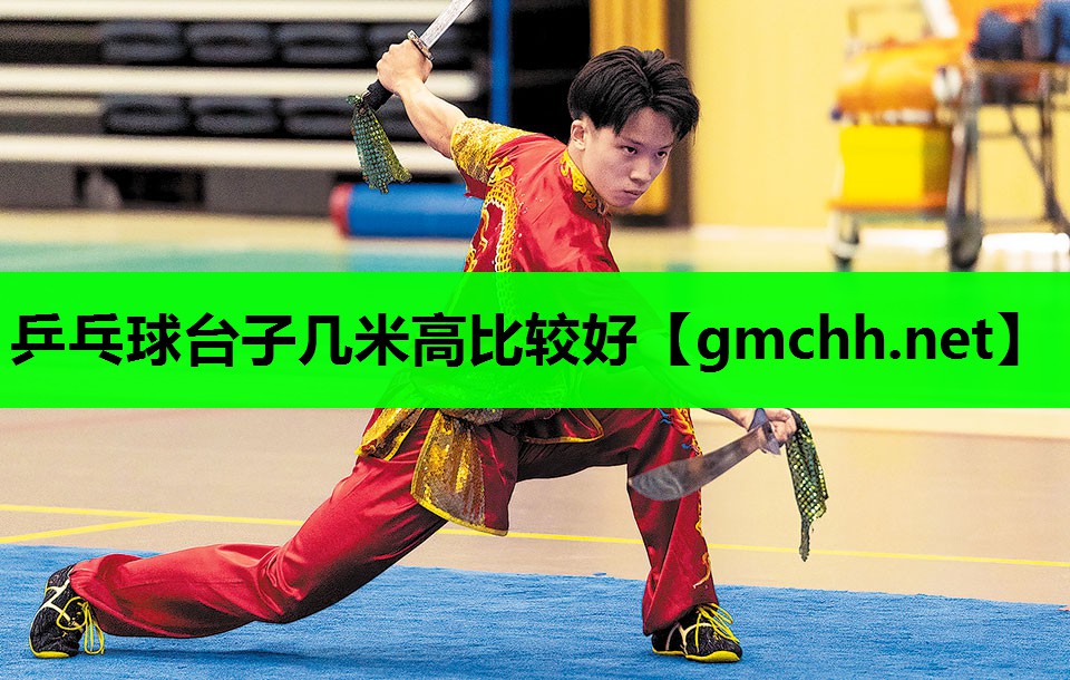 乒乓球台子几米高比较好