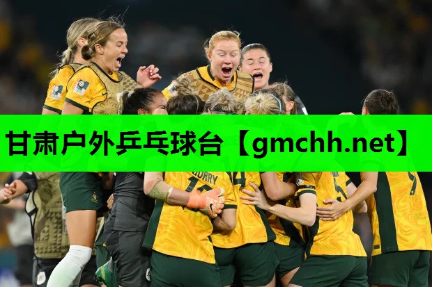 甘肃户外乒乓球台